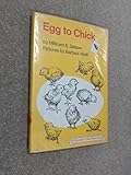 Egg to chick