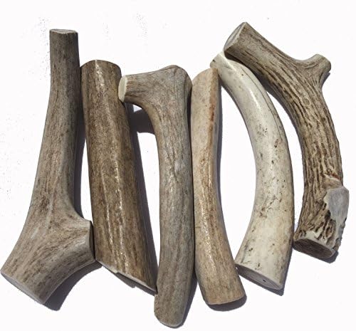 6 Pack- Medium Natural Deer Antler Dog Chews - WhiteTail Naturals Brand