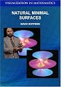 Natural Minimal Surfaces: via Theory and Computation