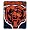 Chicago Bears