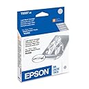 EPSON T059720 Light Black Ink Cartridge - Stylus Photo R2400
