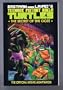 TEENAGE MUTANT NINJA TURTLES: The Secret of the Ooze (Teenage Mutant Ninja Turtles II)