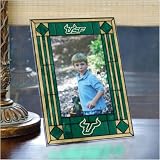 South Florida Bulls USF NCAA Vertical Art Glass Frame