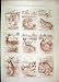 1893 Fishermans Story Comedy Monster Bream Rod River