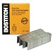 Stanley Bostitch 13/16" Heavy Duty Staples QTY. 1000
