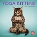 Yoga Kittens 2012 Mini 7x7 Calendar