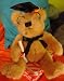 Graduation Bear