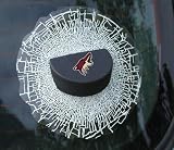 Phoenix Coyotes Sportz Splatz