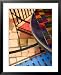 Kunsthaus Wien Art Museum, Vienna, Austria Photography Framed Art Poster Print by Walter Bibikow, 25x31
