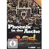 Phoenix in der Asche