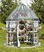 10'x9' Flower Conservatory- Clear w/Green Piping