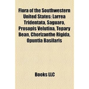 Flora of the Southwestern United States: Larrea Tridentata, Saguaro, Prosopis Velutina, Tepary Bean, Chorizanthe Rigida, Opuntia Basilaris