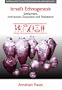 Israel's Ethnogenesis: Settlement, Interaction, Expansion, and Resistance (Approaches to Anthropological Archaeology)