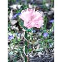 Illuminarie Butterfly Feeder - Pink