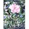 Illuminarie Butterfly Feeder - Pink
