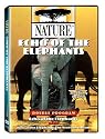 Nature: Echo of the Elephants