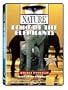 Nature: Echo of the Elephants