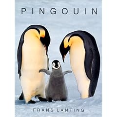 Fo-pingouin lanting