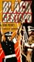 Black Gestapo [VHS]