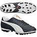 Puma Men's Mestre GCi FG