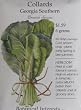 Georgia Southern Collards Heirloom Seeds 300 Seeds