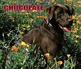 For The Love Of Chocolate Labrador Retrievers Deluxe 2005 Calendar