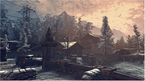 large image