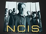 NCIS Season 6
