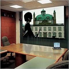 119029 Ultimate Access/Series E Motorized Front Projection Screen - 50 x 50" 