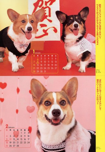 Cover image : コーギースタイル Vol.16 (タツミムック)
