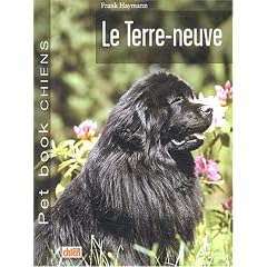 Le Terre-neuve