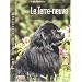 Le Terre-neuve