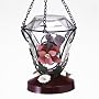 Birdscapes� 702 Blossom Edition Feeder, 24 oz capacity