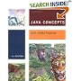 Java Concepts