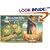 Halloween: Romantic Art and Customs of Yesteryear Postcard Book