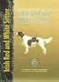 Irish Red and White Setter
