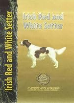 Irish Red and White Setter