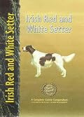 Irish Red and White Setter