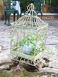 Decorative Metal Bird Cage