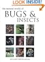 Natural World of Bugs and Insects