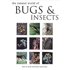 The Natural World of Bugs & Insects