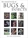 Natural World of Bugs and Insects by Ken Preston-Mafham ISBN 1571452885