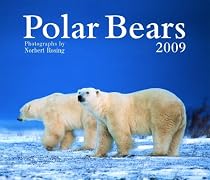 Polar Bears 2009 (Calendar)
