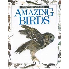 Eyewitness Jr Amazing Birds