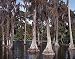 Cypress Grove Photograph - Beautiful 16x20 Photographic Print by Carol M. Highsmith