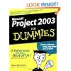 Project 2003  for Dummies