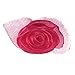 Aria Polyester Spring Fling Dog Barrettes Canisters, 2-Inch, 28-Pack, Raspberry Sorbet and Ultraviolet