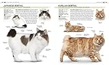 The Complete Cat Breed Book (Dk the Complete Cat Breed Book) The Complete Cat Breed Book (Dk the Complete Cat Breed Book)