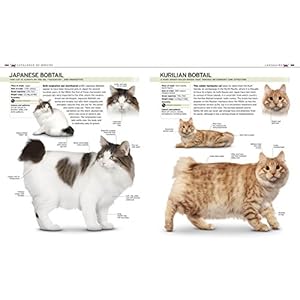 The Complete Cat Breed Book (Dk the Complete Cat Breed Book)