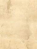 ALBENA TROMPE L'OEIL Wallpaper -SF20203 Wallpaper